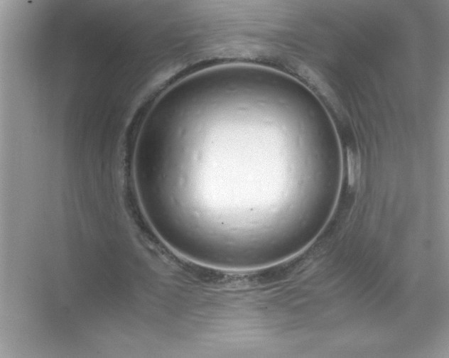 X0000071830675200607072210