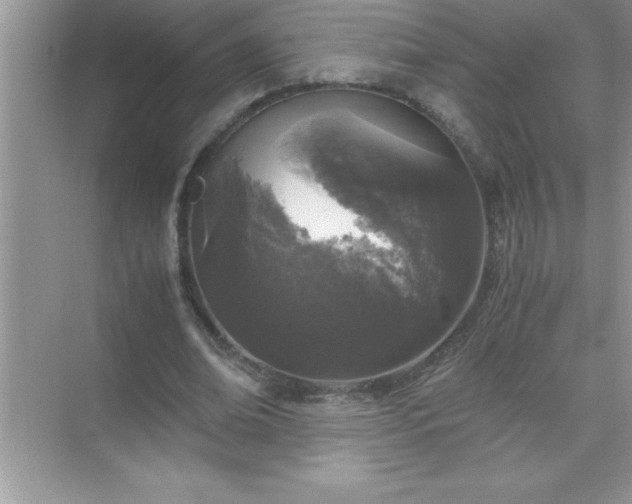 X0000071830678200607072210