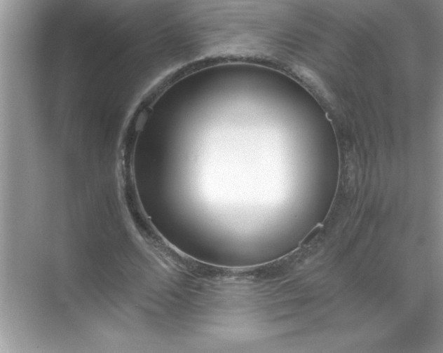 X0000071830680200607072210