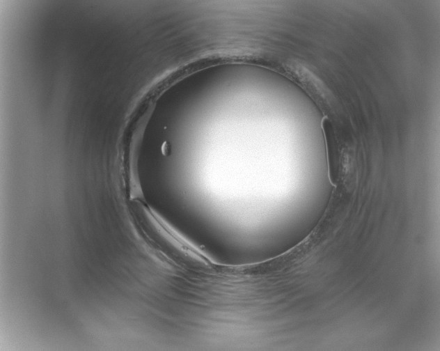 X0000071830684200607072210