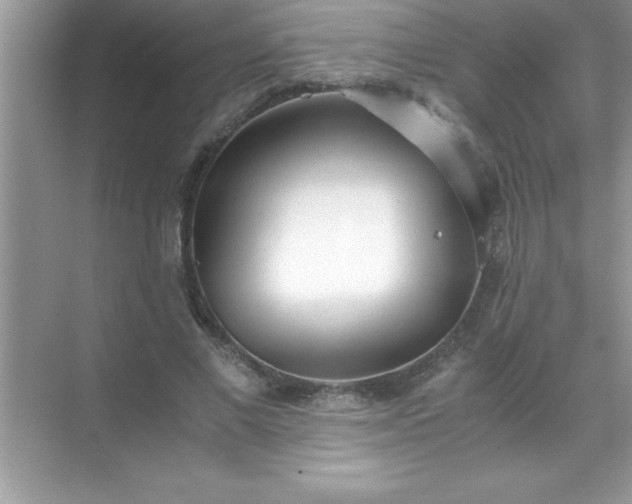 X0000071830685200607072210