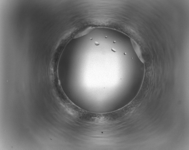 X0000071830688200607072210