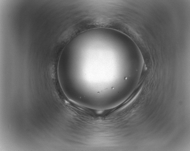 X0000071830689200607072210