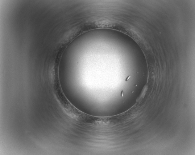 X0000071830690200607072210