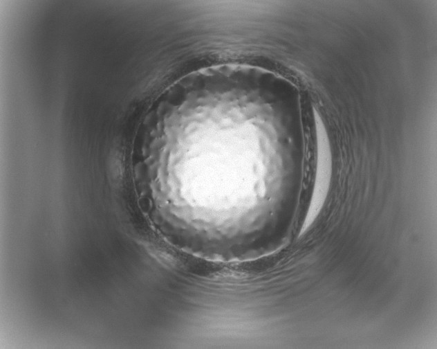 X0000071830691200607072210