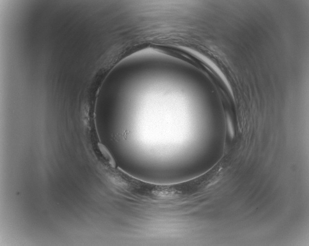 X0000071830693200607072210