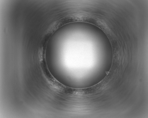 X0000071830694200607072210