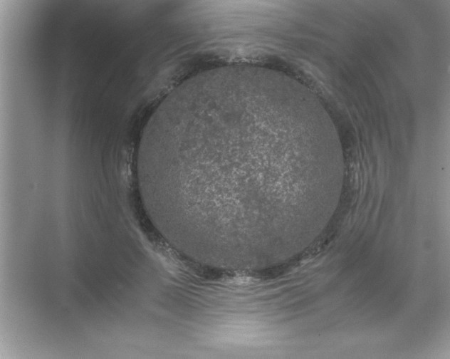 X0000071830695200607072210