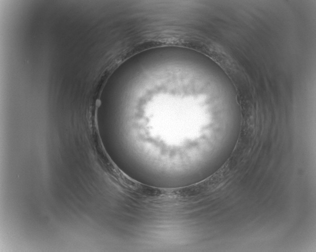 X0000071830696200607072210