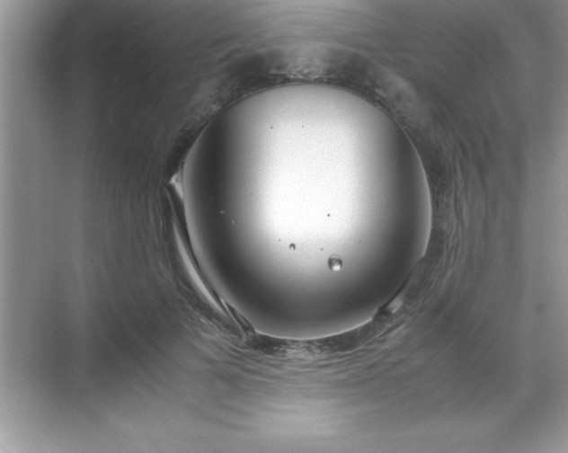 X0000071830697200607072210