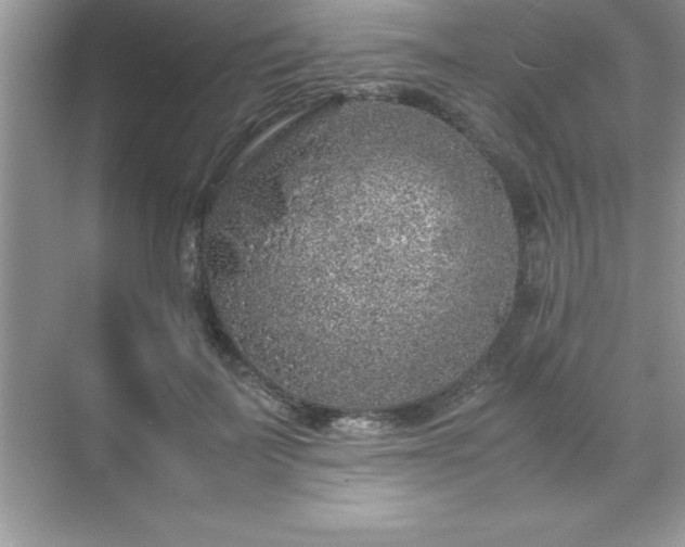 X0000071830699200607072210