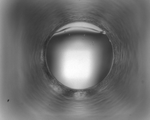 X0000071830700200607072210