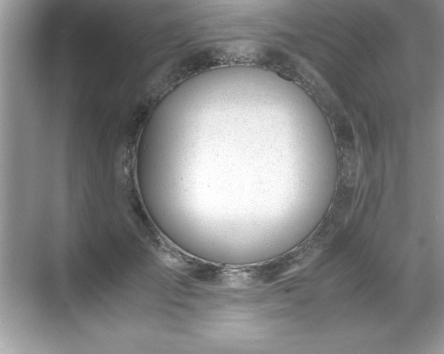 X0000071830701200607072210