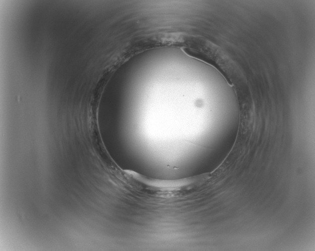 X0000071830704200607072210