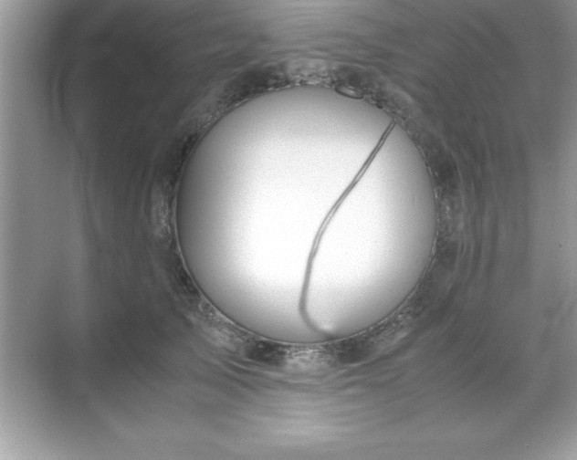 X0000071830705200607072210