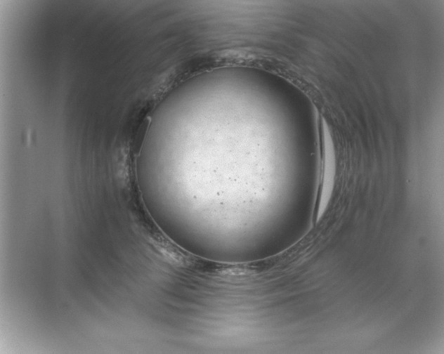 X0000071830708200607072210