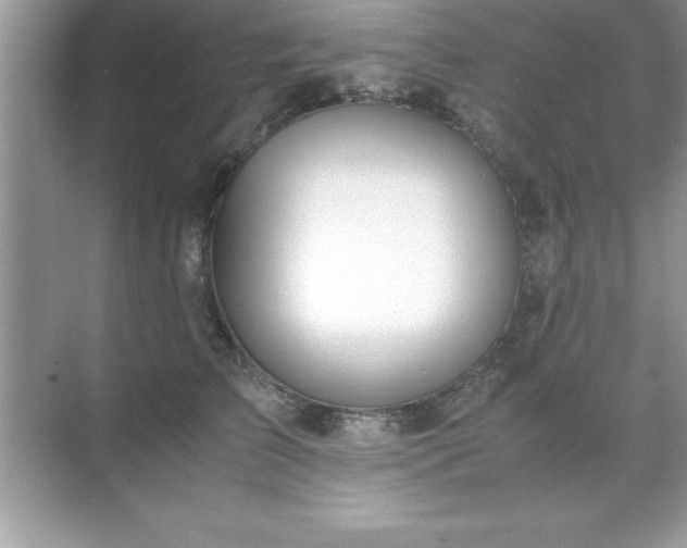 X0000071830709200607072210