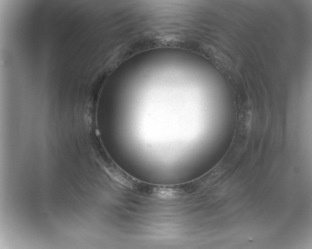 X0000071830710200607072210