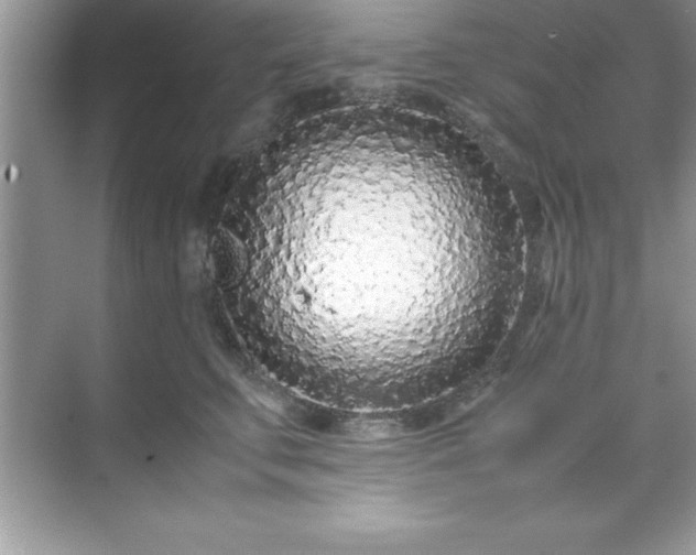 X0000071830711200607072210