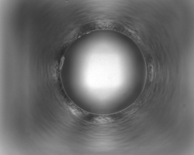 X0000071830712200607072210