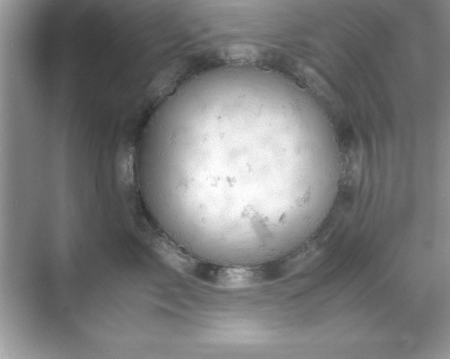 X0000071830717200607072210