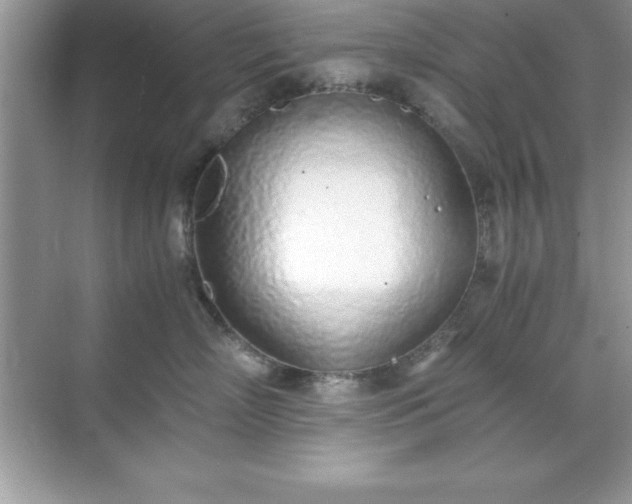 X0000071830718200607072210