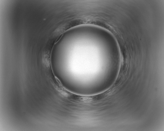 X0000071830719200607072210