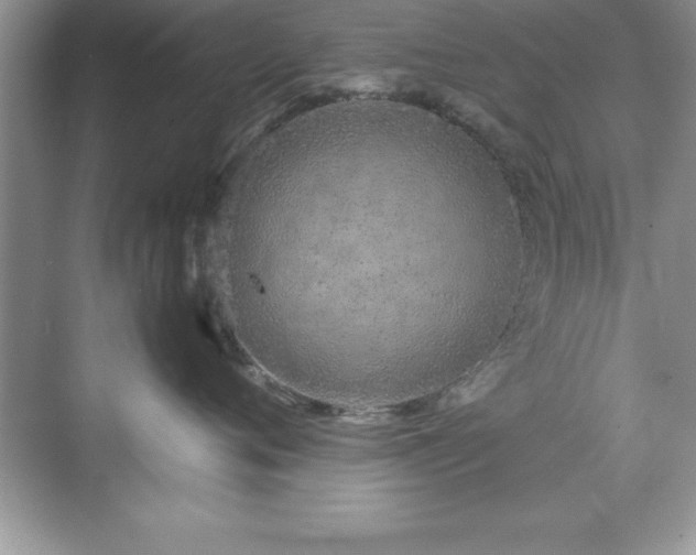 X0000071830720200607072210