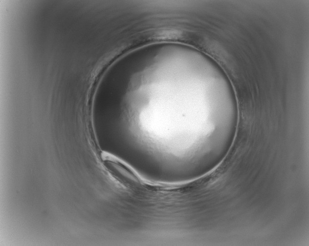 X0000071830721200607072209