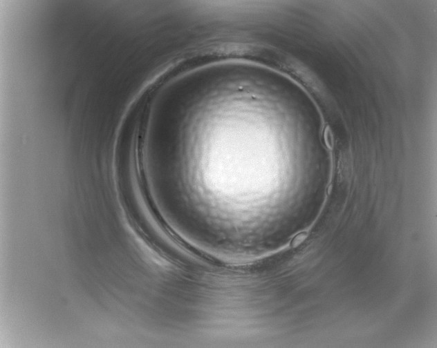 X0000071830722200607072209