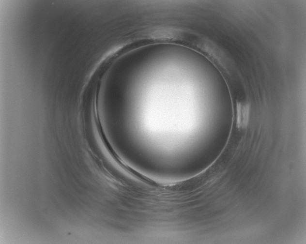 X0000071830723200607072209