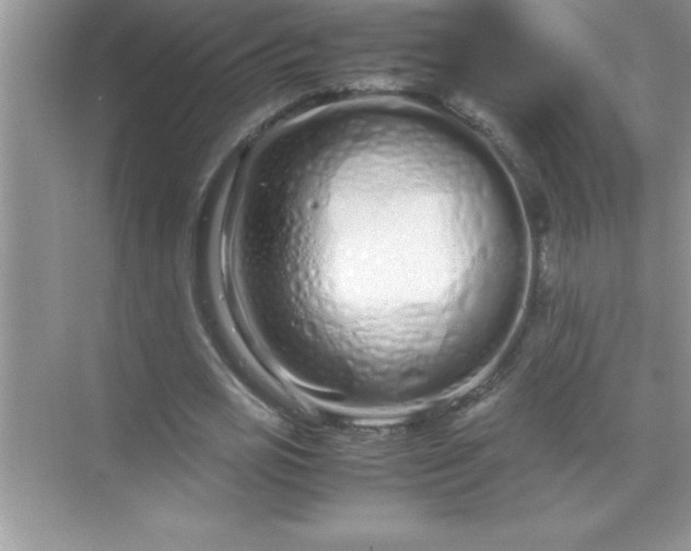 X0000071830725200607072209