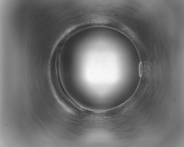 X0000071830726200607072209