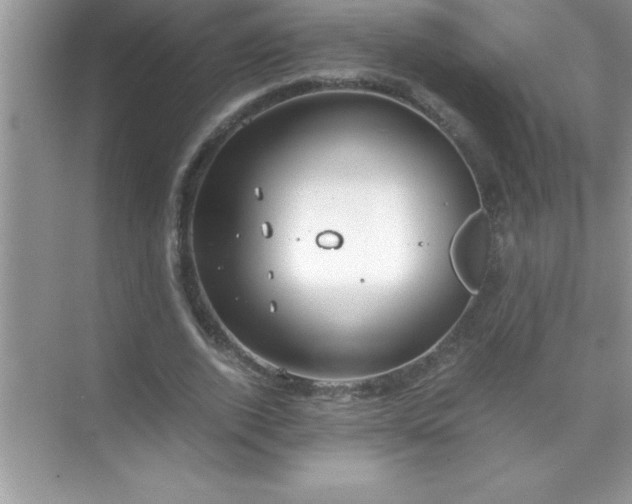 X0000071830728200607072209