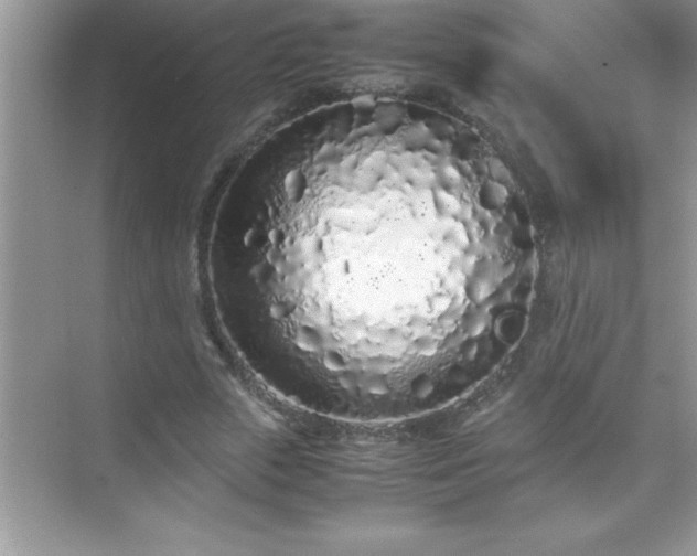 X0000071830729200607072209