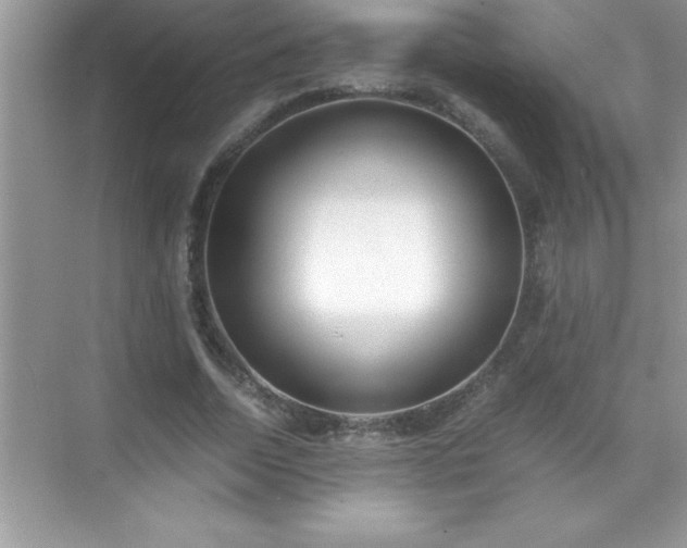 X0000071830730200607072209