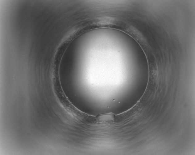 X0000071830732200607072209