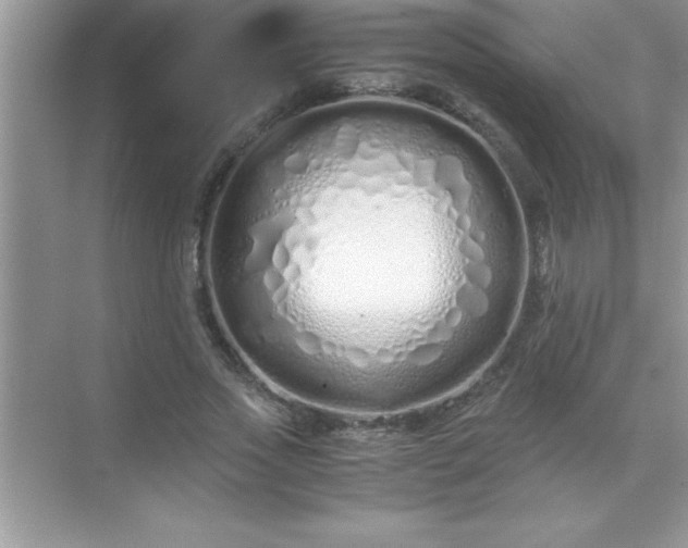 X0000071830733200607072209