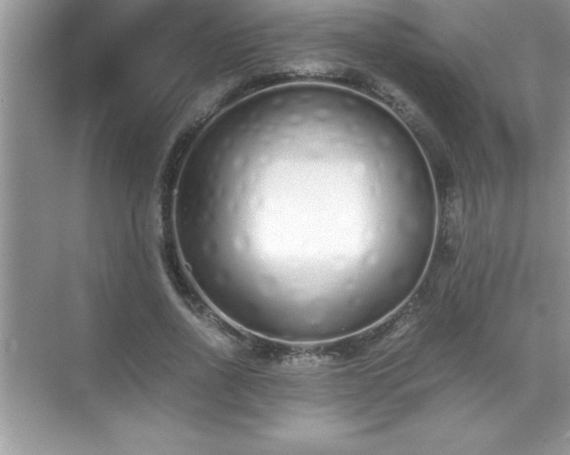 X0000071830734200607072209