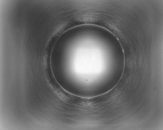 X0000071830735200607072209