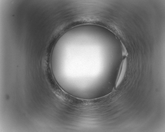 X0000071830736200607072209