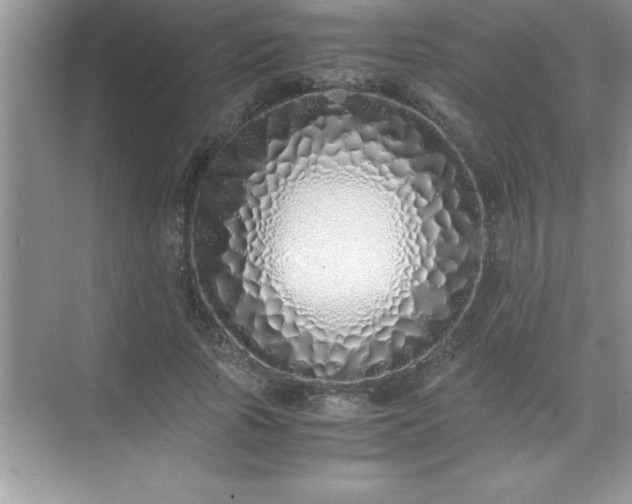 X0000071830737200607072209