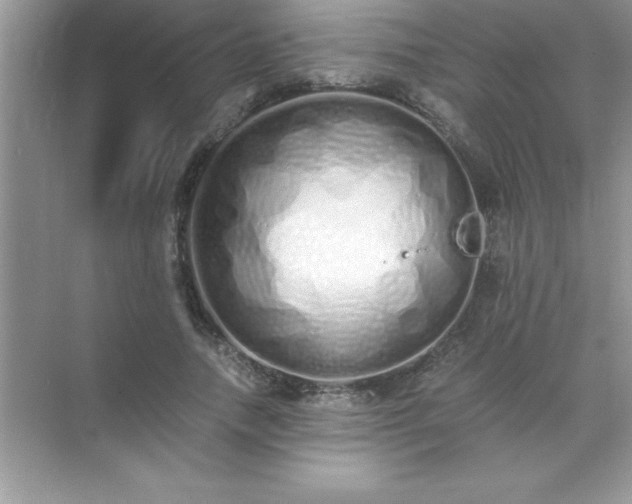 X0000071830738200607072209