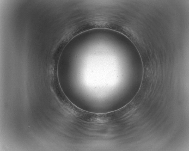 X0000071830739200607072209