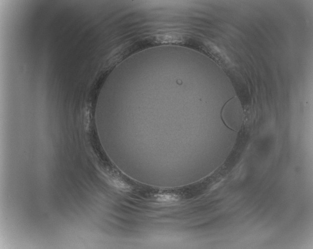 X0000071830741200607072209