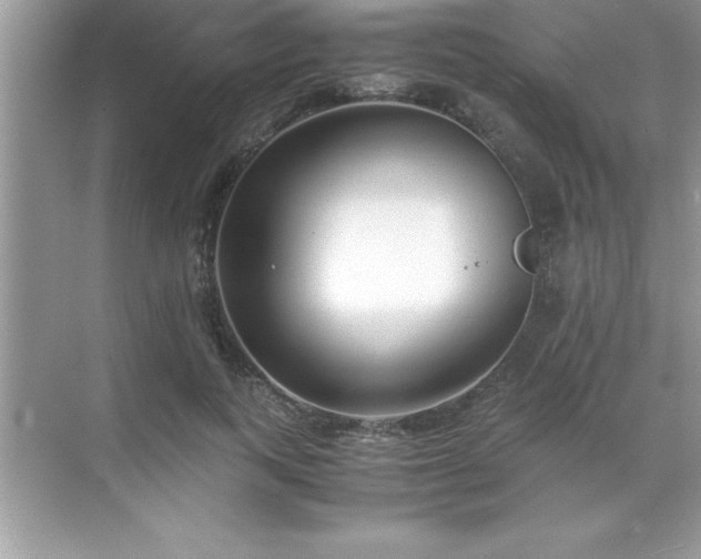 X0000071830743200607072209