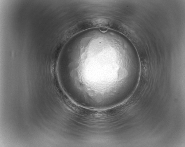 X0000071830745200607072209