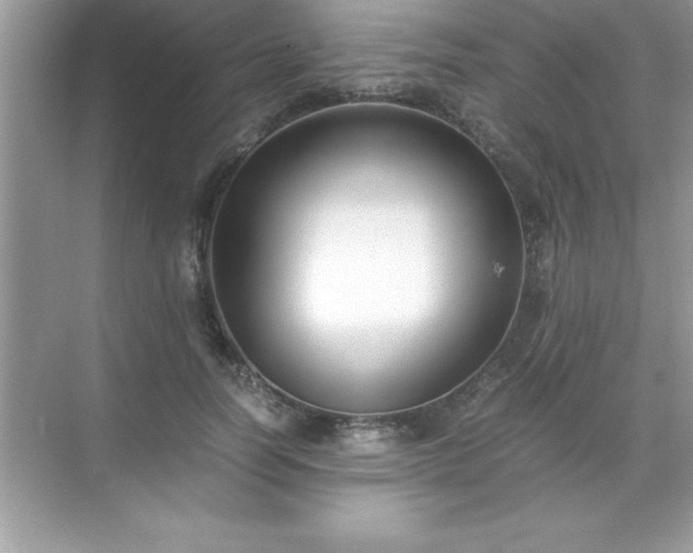 X0000071830746200607072209