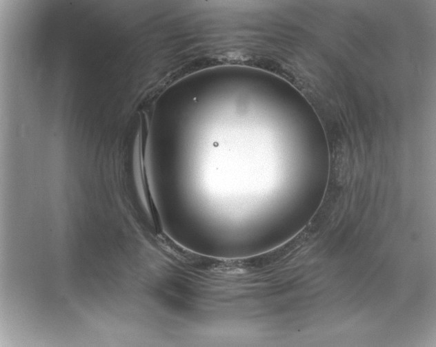 X0000071830747200607072209