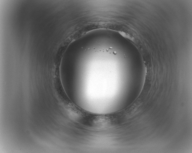 X0000071830750200607072209